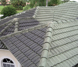 ROOF cleaning WEST palm beach