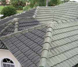 roof cleaning west Palm Beach 